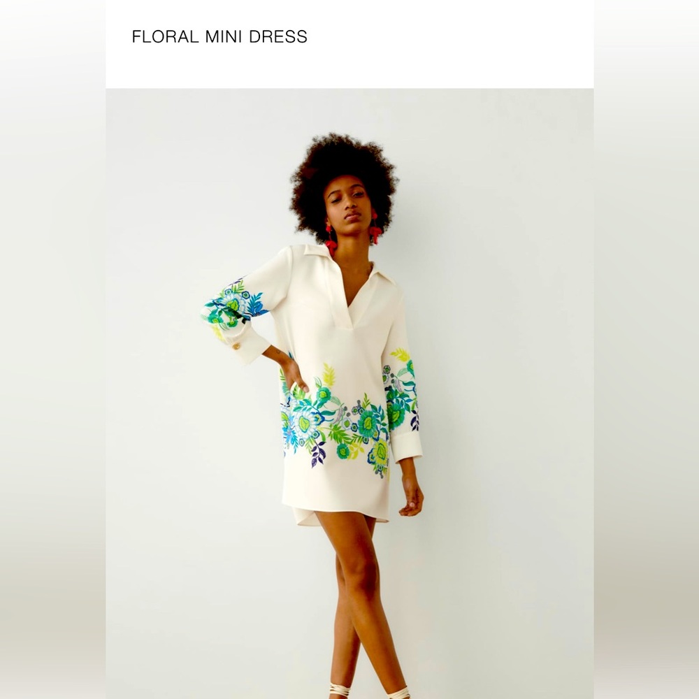 Cute Zara dress. Worn once